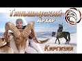 ГОРНАЯ ОХОТА НА ТЯНЬШАНСКОГО АРХАРА (Mountain hunting in Kyrgyzstan)