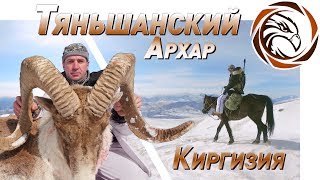 ГОРНАЯ ОХОТА НА ТЯНЬ-ШАНЬСКОГО АРХАРА (Mountain hunting in Kyrgyzstan)