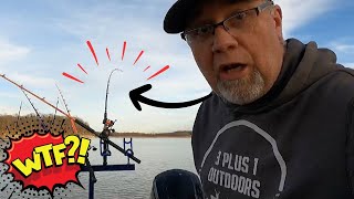 WHAT THE FISH?! 🤯 Gimme 10 more mins to CATFISH!