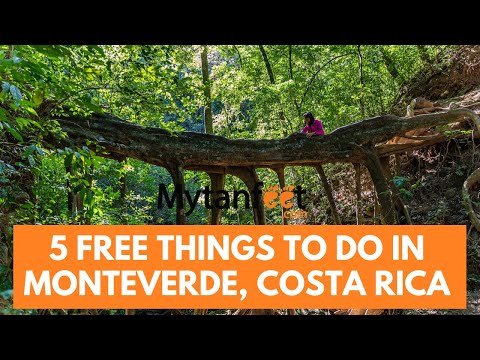 Video: Le Migliori Cose Da Fare Nella Foresta Pluviale Di Monteverde In Costa Rica