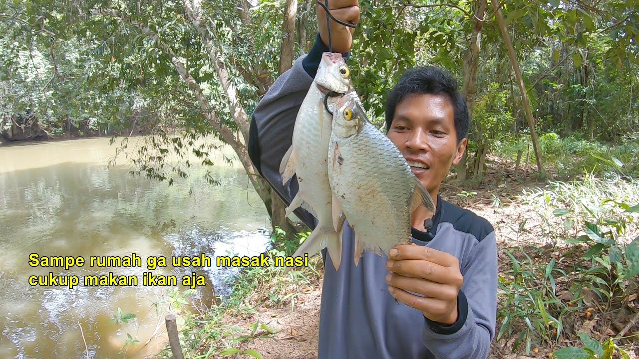 Pemancing disini ga pernah Pake pancing ombyok
