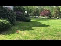 Lawn re-seeding update