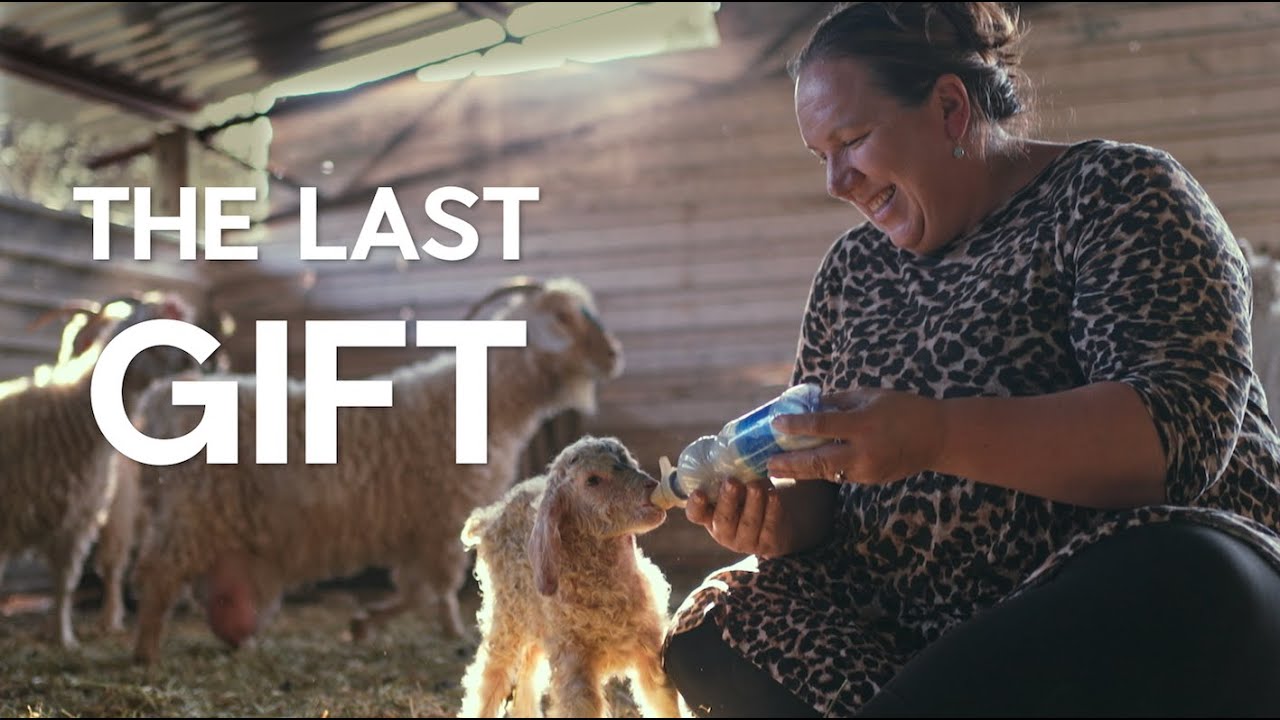 The Last Gift: Finding Peace and Purpose