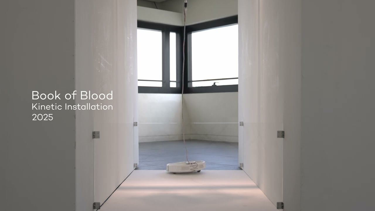 Documentation - Book of Blood 2025