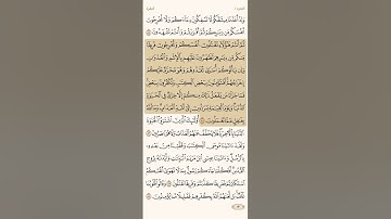 سورة البقرة القارئ الشيخ علي الحذيفي الصفحة ١٣