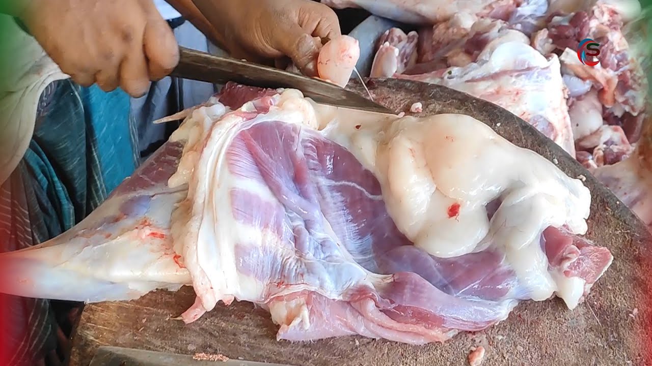 Incredible 70 kg Biggest Goat Cutting Skills | Ghar Ka Pla Hua Shandar Bakra | @cuttingstore |