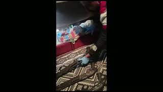 Malatyada Patlamaya Hazır El Yapımı Patlayıcı Ele Geçirildi