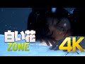 [4K] ZONE - 白い花 MV 2005 4K AI Upscaling