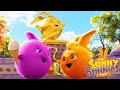 Sunny Bunnies ゴールデンチャンピオン | こどもたちのためのマンガ | おもしろいアニメ映画