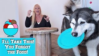 Eating Invisible Food In Front Of My Dog! He Takes My Plate!