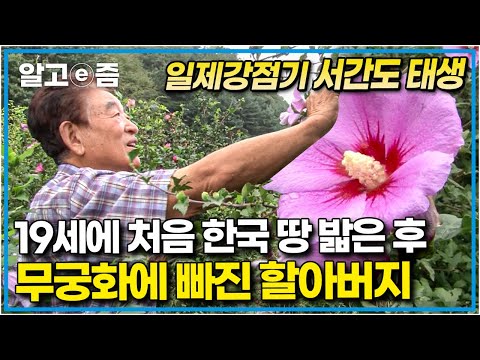 &amp;quot;&amp;#39;무궁화 <strong>삼천리</strong> 화려강산&amp;#39;이 제 꿈입니다&amp;quot; 일제강점기, 서간도에서 태어나 19세가 돼서야 한국에 왔던 할아버지..