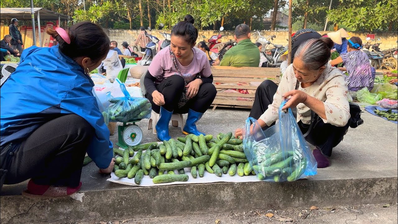 Harvesting cucumbers to sell at the market - Planting garlic - YouTube