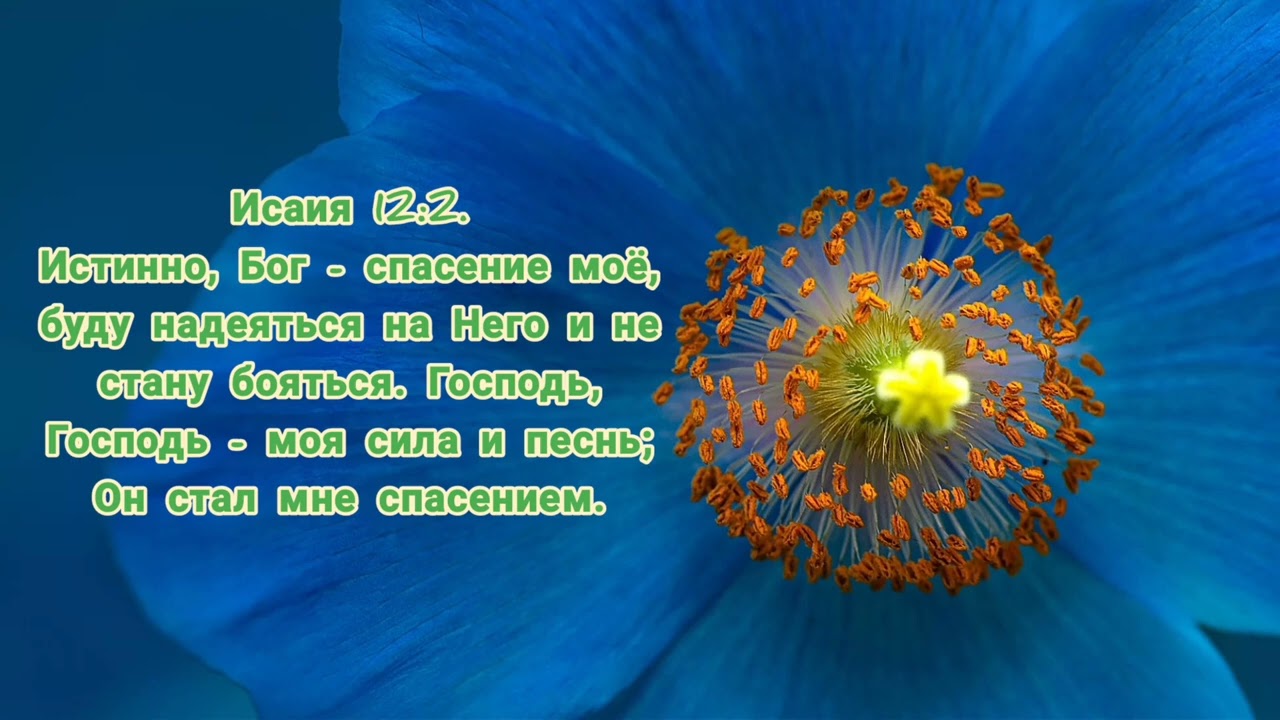 Исаия 12:2.