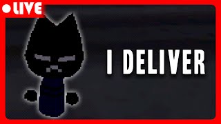 Im a delivery cat