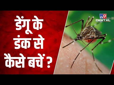 Doctor से जानिए Dengue से बचने के उपाय और उसका इलाज  | #TV9D