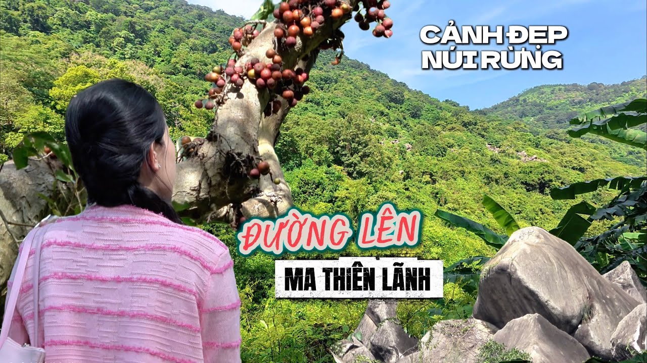 Miệt Vườn Cây Trái Tây Ninh - NÉT ĐẸP HOANG SƠ NÚI RỪNG , Bình Yên Đường  Rừng Lên Ma Thiên Lãnh.