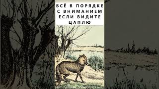 Найдёте На Картинке Цаплю? #Тестнавнимательность