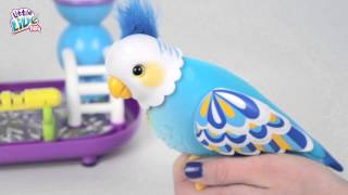 Full Demo Video Little Live Pets Cleverkeet