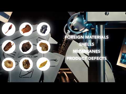 Dryce - A revolutionary optical sorter for nuts & dried fruit | RAYTEC VISION SpA