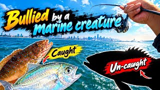 Huhh.. so I finally lost. | Singapore fishing |