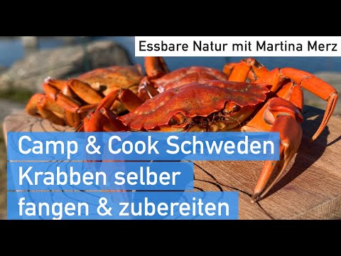 Video: Wie Man Eine Krabbe Fängt