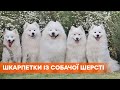 Винничанка плетет носки с вычесанной шерсти домашнего любимца