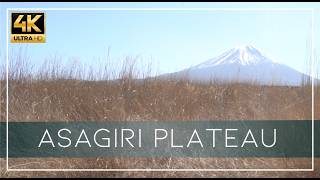 【VIrtual Walk】Asagiri Plateau JPN 朝霧高原 #virtualwalk #朝霧高原 #virtualjapan