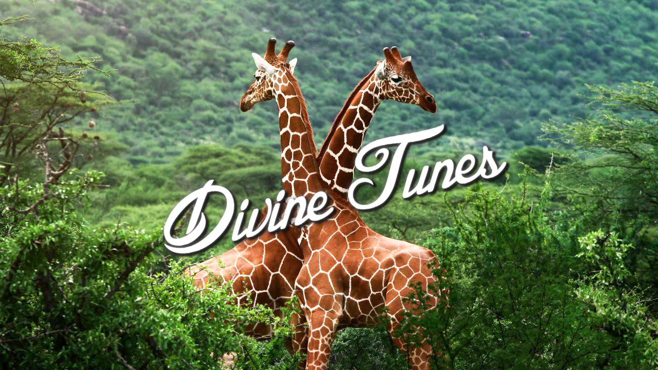 Wave Racer - Streamers [HD] - YouTube