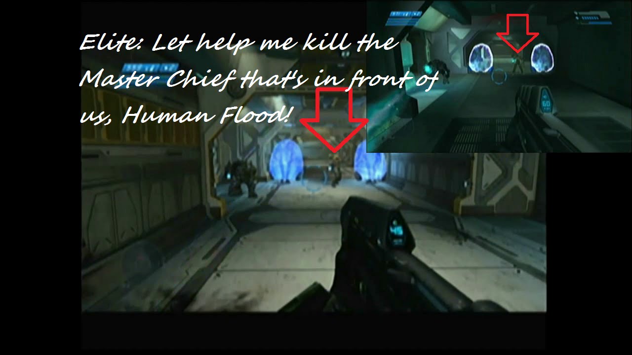 Halo CEA: Covenant allied with a human flood form on the last level ...