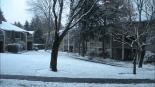 Time lapse of the first snow in Seattle 2010