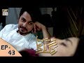 Mohay Piya Rang Laaga - Episode 43 - ARY Digital Drama