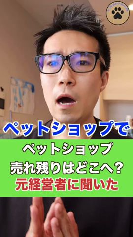 ペットショップの売れ残りはどこへ？#shorts