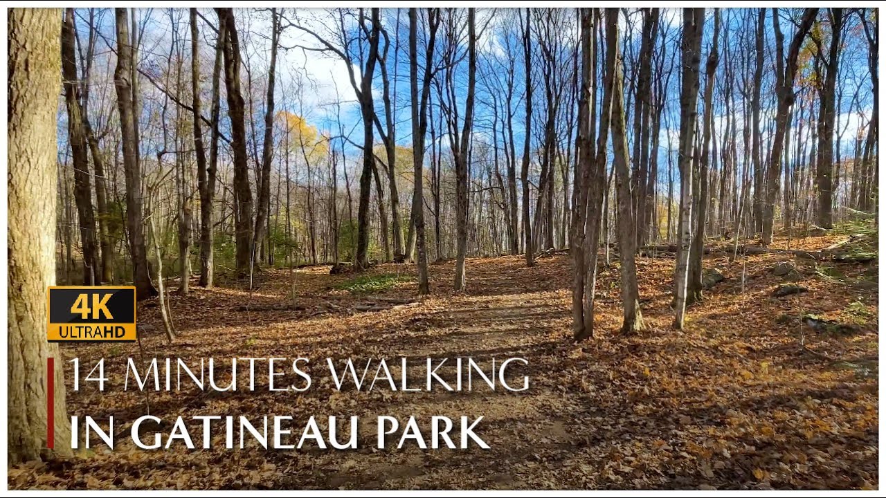 14 Minutes Walking Tour in Gatineau Park, Quebec, Canada (2021)