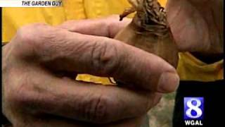 Garden Guy's Tips to Prepare Your Garden for Spring