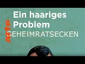 Geheimratsecken | Karambolage | ARTE