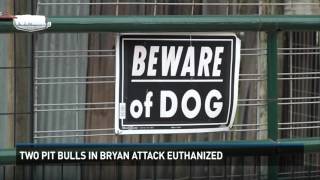 UPDATE: Pit Bulls euthanized after attacking man in Bryan