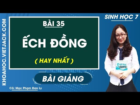 Video Ếch đồng - Bài 35 - Sinh học 7 - Cô Mạc Phạm Đan Ly... - YouTube