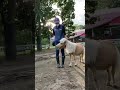 目指せ!ショーポニー その2
