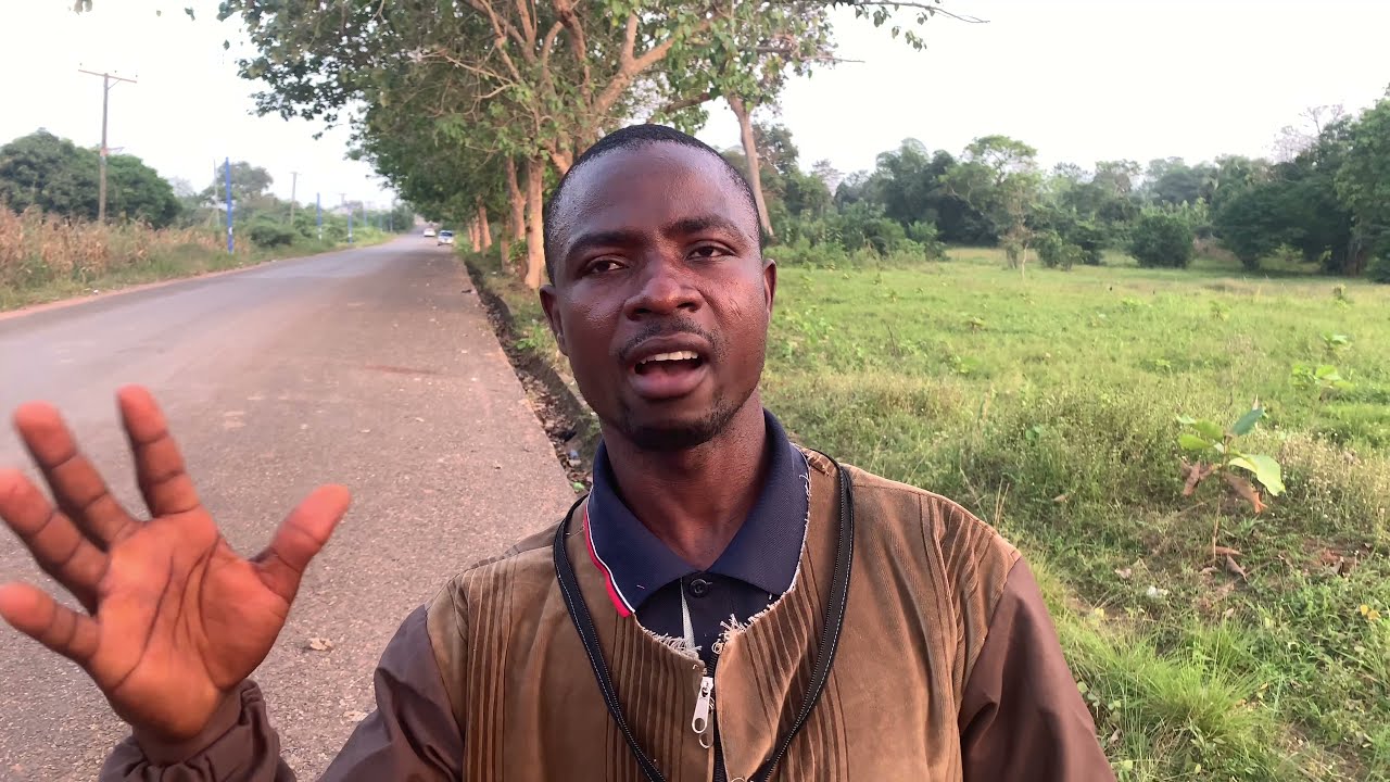 Как начать бизнес по производству меда в Гане, вкладывая менее 100 долларов