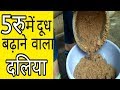 5रु में गाय भैंस का दूध बढ़ाए दलिया से/Increase cow buffalo milk from daliya