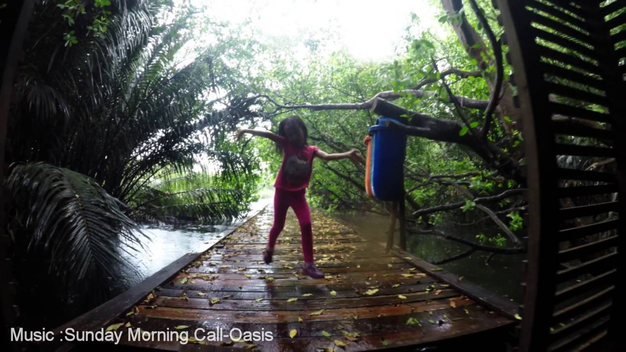 Hutan Mangrove Pantai Indah Kapuk