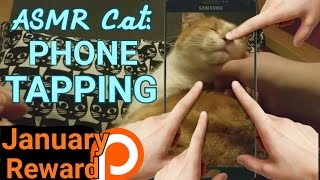 ASMR Cat: Mobile Phone Tapping & Cat Massage (Purring, no talking)