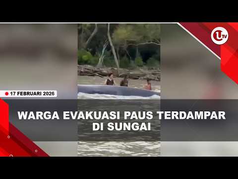 PAUS SEPANJANG 15 METER TERDAMPAR DI SUNGAI PERAIRAN OKI | U-NEWS