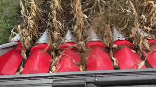 Tecnomais Corn Header Жатка Для Кукурузы Header Pentru Recoltarea Porumbului