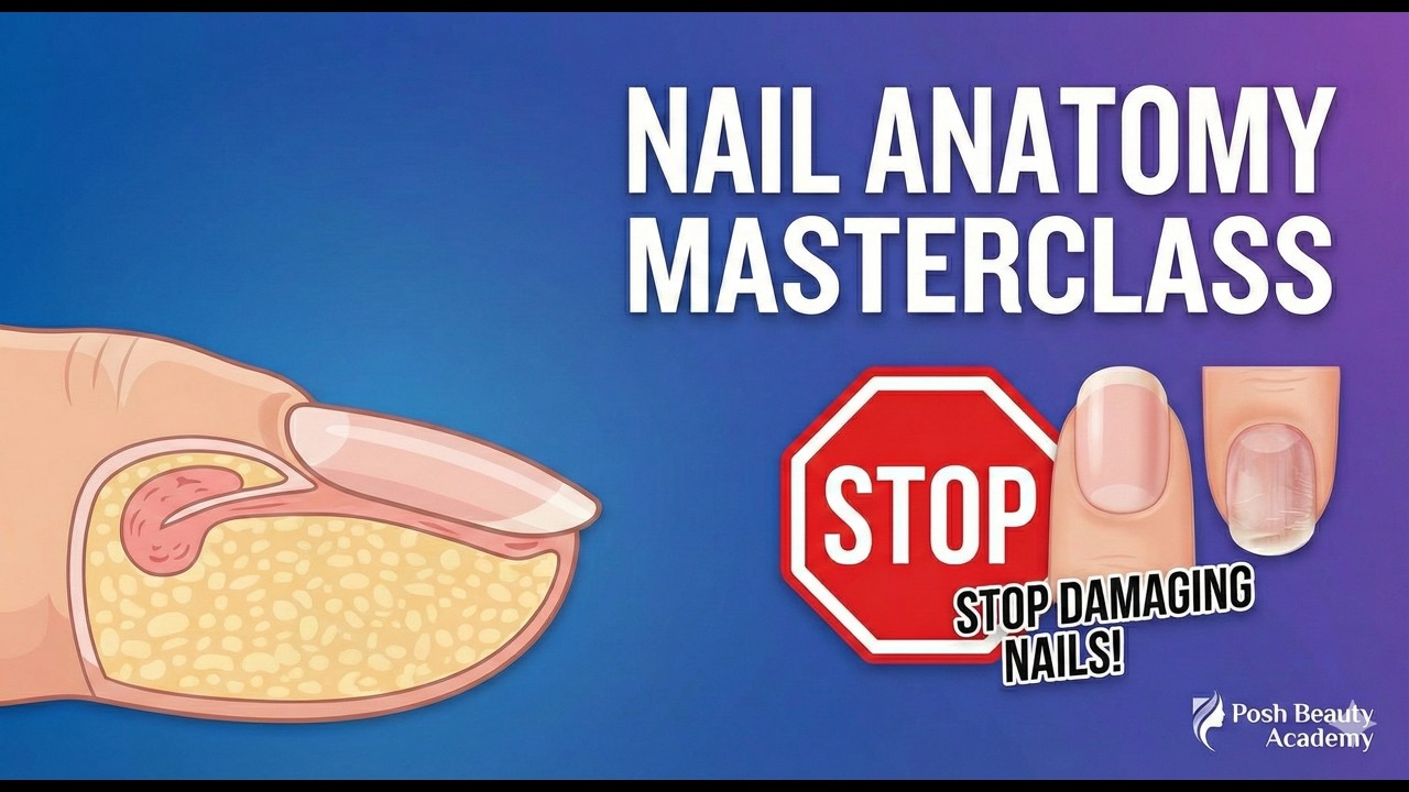 Stop Damaging Nails! The Complete Guide to Nail Anatomy 🛑📚