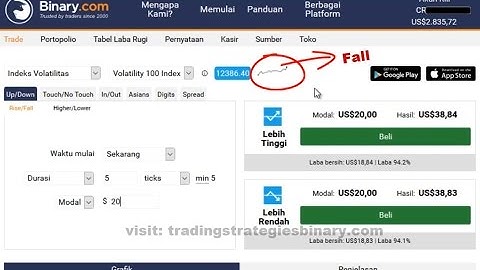 binary.com winning strategy, best rise fall strategy