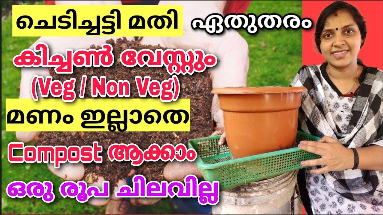ചെടിച്ചട്ടിമതി ഏത് തരം കിച്ചൺ വേസ്റ്റും ( Veg/Non - Veg ) zero cost ൽ മണം ഇല്ലാതെ compost ആക്കാം |