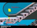 Escalator 3D animation - Injury