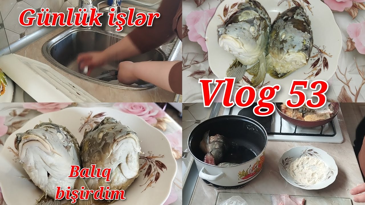 BALIQ QIZARTMASI 🐟 GÜNLÜK İŞLƏR 🔴 Vlog 53 
