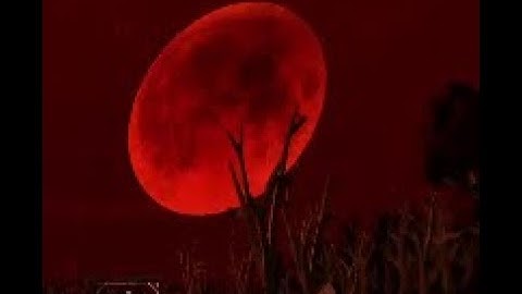 Primordial Hunger ULTRAKILL CUSTOM LEVEL (P-rank)